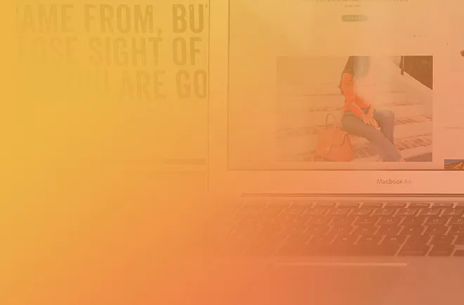 商城網(wǎng)站開發(fā)